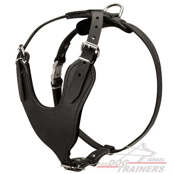 רתמת עור לכלב מתכווננת לאימוני הגנה / תקיפה - FOR DOG TRAINERS- ISRAEL