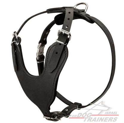 רתמת עור לכלב מתכווננת לאימוני הגנה / תקיפה - FOR DOG TRAINERS- ISRAEL