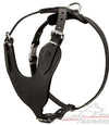 רתמת עור לכלב מתכווננת לאימוני הגנה / תקיפה - FOR DOG TRAINERS- ISRAEL