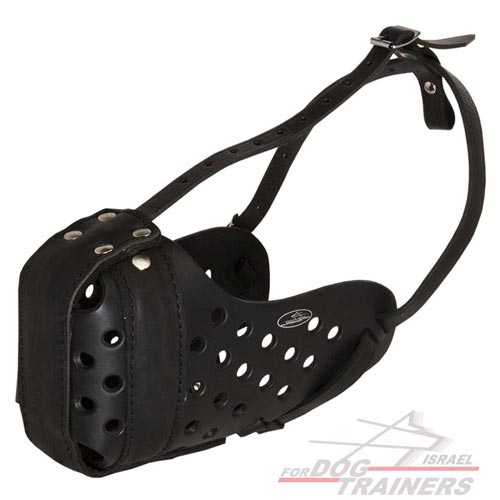 מחסום לכלב רב תכליתי העשוי מעור ומיועד לאימוני תקיפה - FOR DOG TRAINERS- ISRAEL