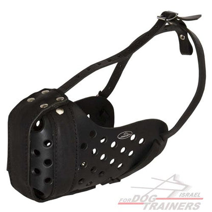 מחסום לכלב רב תכליתי העשוי מעור ומיועד לאימוני תקיפה - FOR DOG TRAINERS- ISRAEL