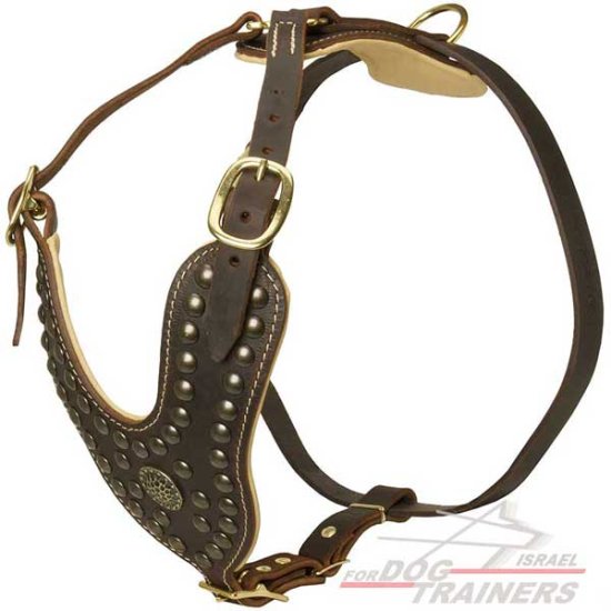 רתמת עור לכלב מעוצבת ומרופדת | לטיולים ולאימונים - FOR DOG TRAINERS- ISRAEL