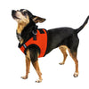 רתמת רשת לכלב דגם בוסטון- דוגליין - FOR DOG TRAINERS- ISRAEL
