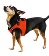 רתמת רשת לכלב דגם בוסטון- דוגליין - FOR DOG TRAINERS- ISRAEL