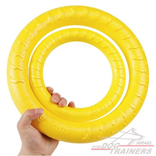 טבעת משחק בסגנון פולר- עמידה לכלבים בטכנולוגיית פואום - FOR DOG TRAINERS- ISRAEL