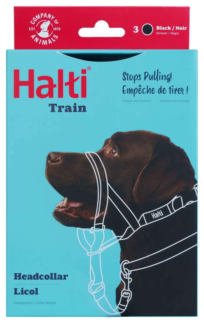 הלטי לכלב מידה 3 רתמת ראש נגד משיכות - FOR DOG TRAINERS ישראל