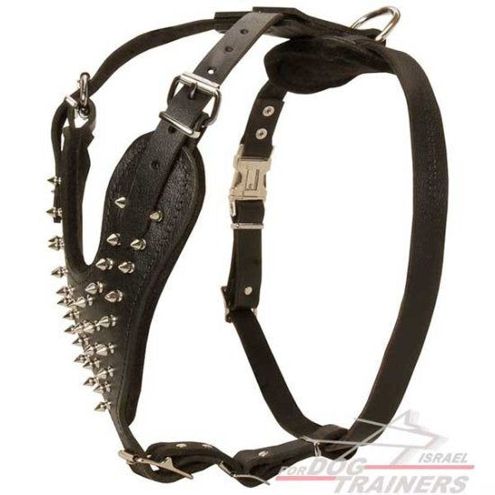 רתמה לכלבים עם ניטים מתכווננת מעור לטיולים אופנתיים עם הכלב ולאימונים - FOR DOG TRAINERS- ISRAEL