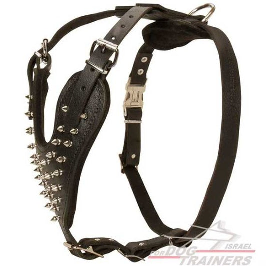 רתמה לכלבים עם ניטים מתכווננת מעור לטיולים אופנתיים עם הכלב ולאימונים - FOR DOG TRAINERS- ISRAEL