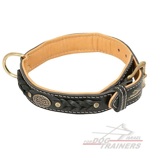 קולר לכלב מעור בסגנון מלכותי אקסקלוסיבי - FOR DOG TRAINERS- ISRAEL