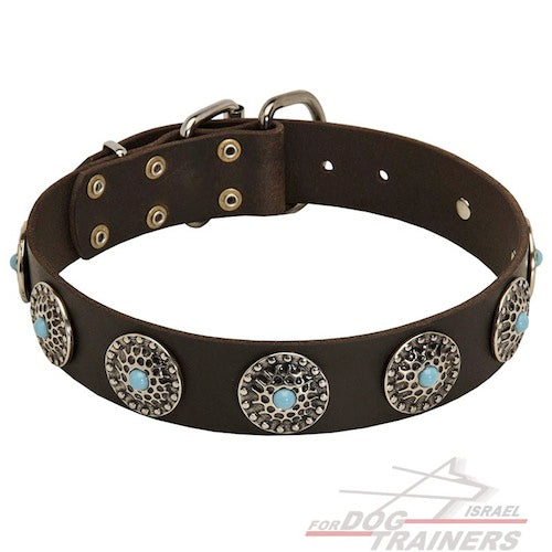 קולר לכלב מעור - בעיצוב אופנתי בלעדי - FOR DOG TRAINERS- ISRAEL