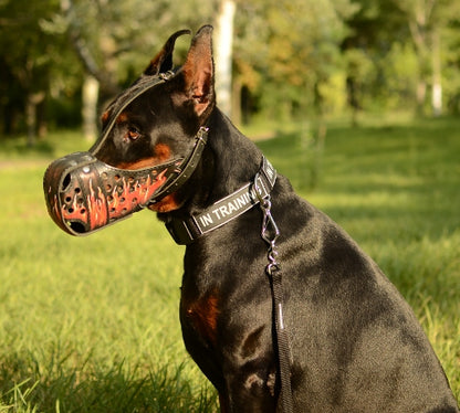 זמם לכלב מעור בצביעה ידנית וייחודית "להבות אש" - FOR DOG TRAINERS- ISRAEL