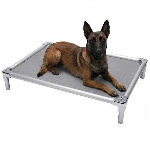 מיטת אלומיניום אורטופדית לרועה בלגי - FOR DOG TRAINERS ישראל
