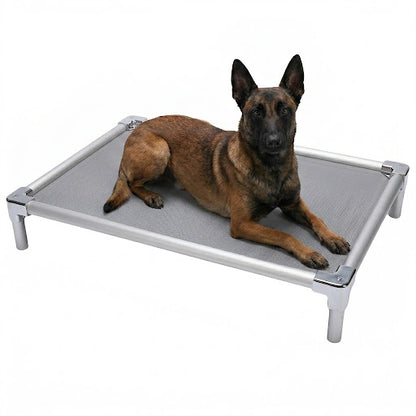 מיטת אלומיניום אורטופדית לרועה בלגי - FOR DOG TRAINERS ישראל