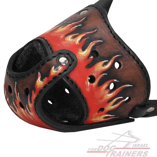 מחסום פה לכלב בעיצוב חדש ואקסקלוסיבי לכל הגזעים - FOR DOG TRAINERS- ISRAEL