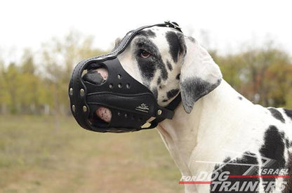 חדש! מחסום פה לכלב מיועד לכלבים עובדים - FOR DOG TRAINERS- ISRAEL