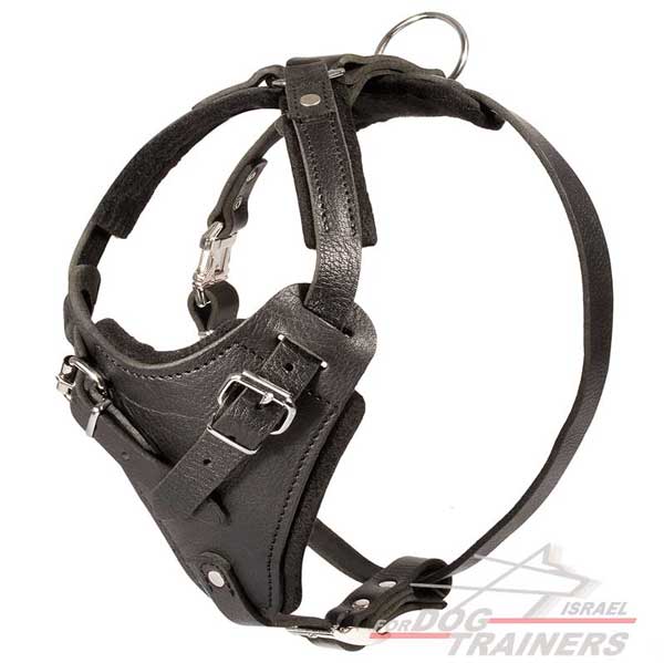 רתמת עור לכלב מתאימה לכלבים בינוניים / גדולים | לאימוני תקיפה ולטיולים - FOR DOG TRAINERS- ISRAEL