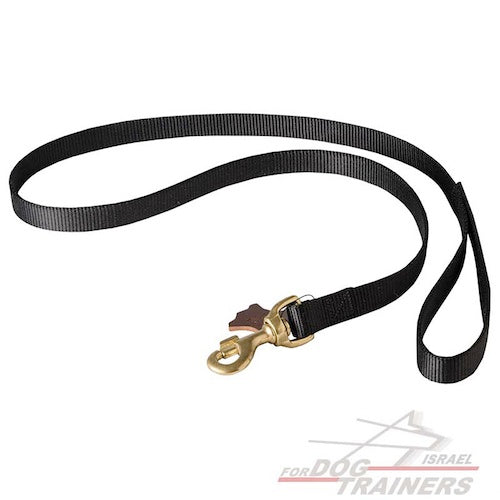 רצועה לכלב מניילון הטובה ביותר למזג אוויר גשום - FOR DOG TRAINERS- ISRAEL