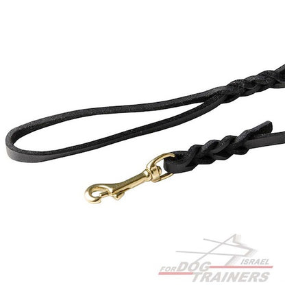 חדש! רצועת אחיזה באיכות גבוהה לכלב לתערוכות ולטיולים - FOR DOG TRAINERS- ISRAEL
