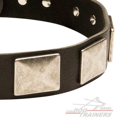 קולר לכלב מעור - מסוגנן כמו בסרטים - FOR DOG TRAINERS- ISRAEL