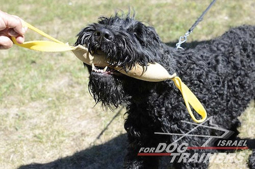 פפירול לכלב מעור עם שתי ידיות - "אחיזה מהירה" - FOR DOG TRAINERS- ISRAEL