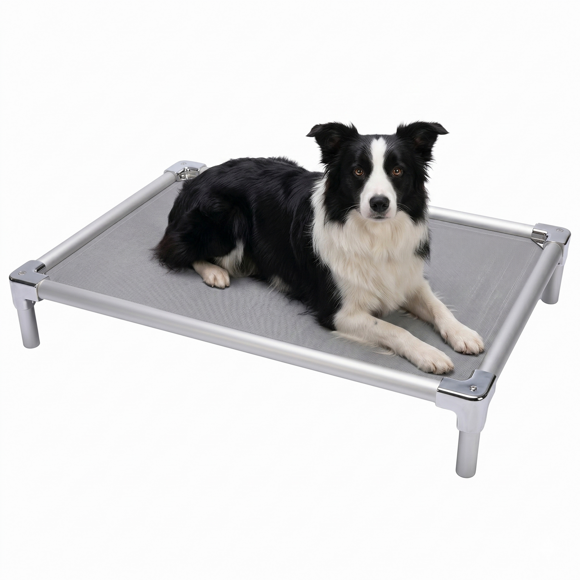 מיטת אלומיניום אורטופדית לבורדר קולי - FOR DOG TRAINERS ישראל