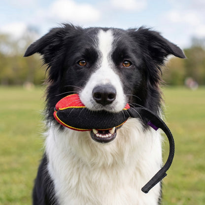 פפירול מלון פשתן צרפתי לבורדר קולי - יצרן FOR DOG TRAINERS ישראל