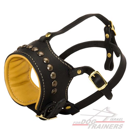 זמם לכלב מרופד עם ניטים מפליז - FOR DOG TRAINERS- ISRAEL