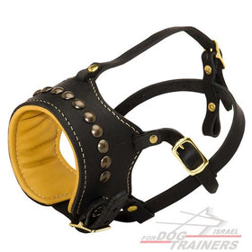 זמם לכלב מרופד עם ניטים מפליז - FOR DOG TRAINERS- ISRAEL