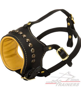 זמם לכלב מרופד עם ניטים מפליז - FOR DOG TRAINERS- ISRAEL