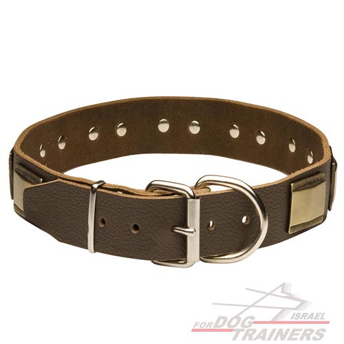 עיצוב חדש! קולר לכלב מעור עם קישוט צלחות אופנתיות - FOR DOG TRAINERS- ISRAEL