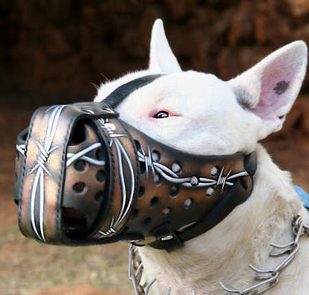 Model: M77BW1108 Leather Dog Muzzle Blue Fire Painted - FOR DOG TRAINERS- ISRAEL