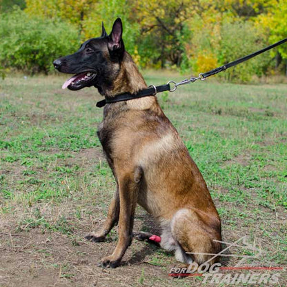 קולר חנק מעור - דו שכבתי - FOR DOG TRAINERS- ISRAEL