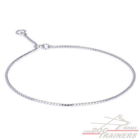 קולר תצוגה ותערוכות 4 מ"מ מפלדת כרום - FOR DOG TRAINERS- ISRAEL