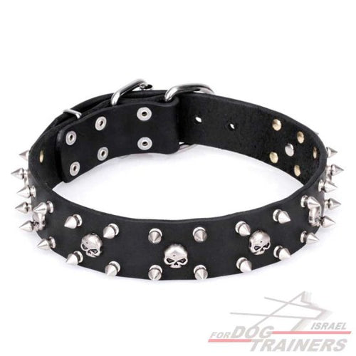 חדש! קולר לכלב מעור דקורטיבי - FOR DOG TRAINERS- ISRAEL
