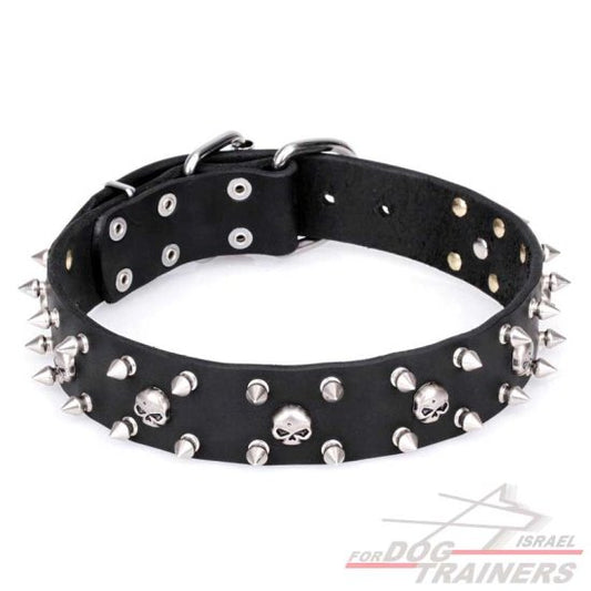 חדש! קולר לכלב מעור דקורטיבי - FOR DOG TRAINERS- ISRAEL
