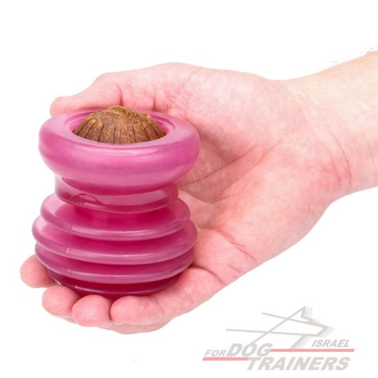 צעצוע דיספנסר חטיפים עשוי גומי ורוד לגזעי כלבים בינוניים - FOR DOG TRAINERS- ISRAEL