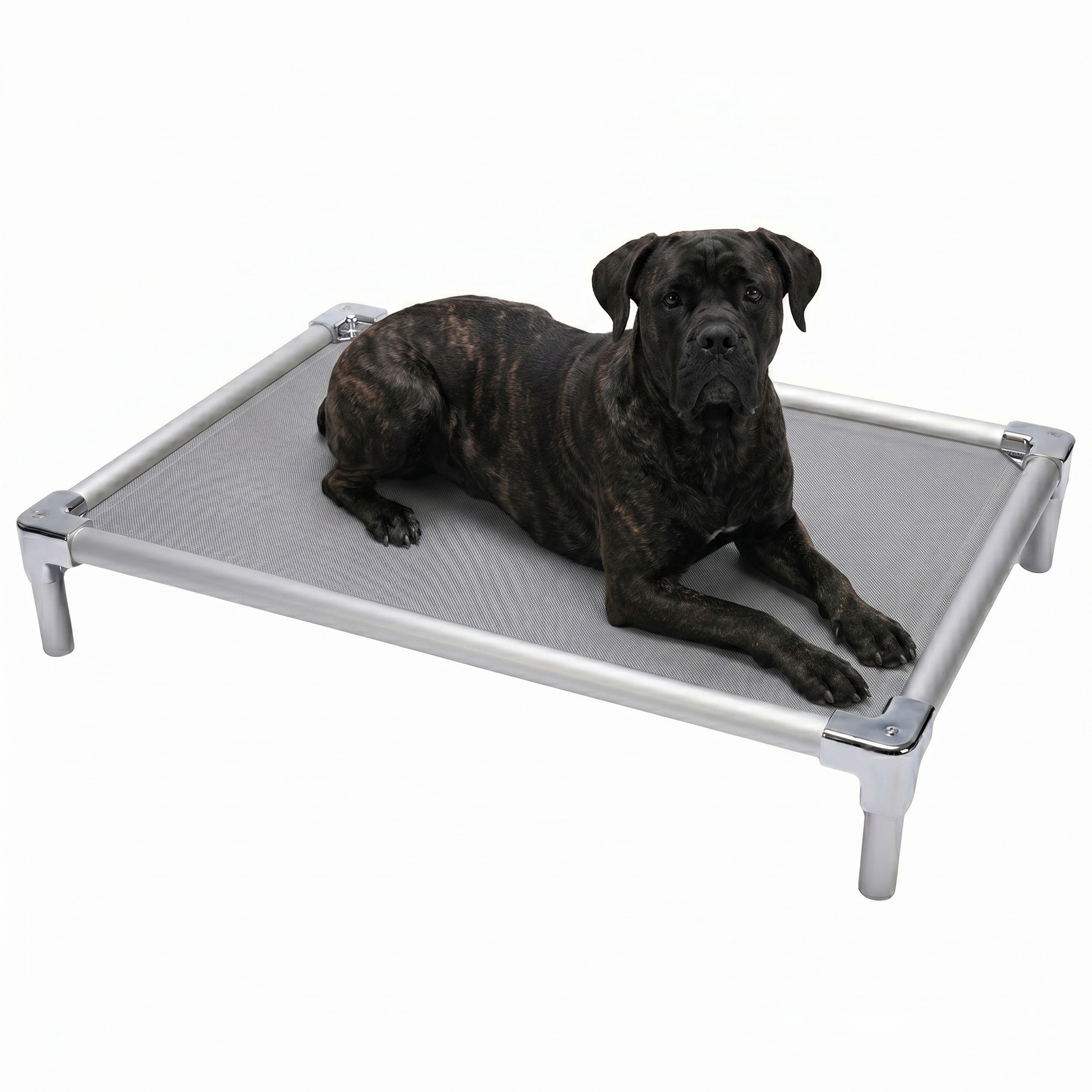 מיטת אלומיניום אורטופדית לקאנה קורסו - FOR DOG TRAINERS ישראל