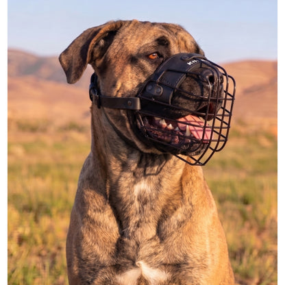 מחסום מינימליסטי קל משקל לקאנה קורסו - FOR DOG TRAINERS ישראל