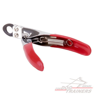 קוצץ ציפורניים לכלב - FOR DOG TRAINERS- ISRAEL