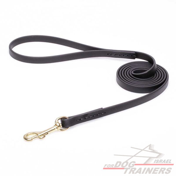 רצועה לכלב עשויה מביאוטן- רוחב 13 מ"מ - FOR DOG TRAINERS- ISRAEL