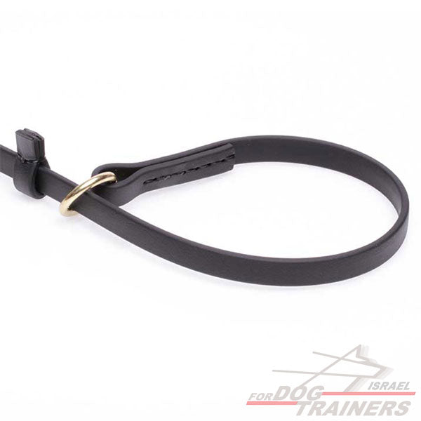 רצועת סליפ ליש לכלב עשויה מביאוטן- עם קולר חנק מובנה - FOR DOG TRAINERS- ISRAEL