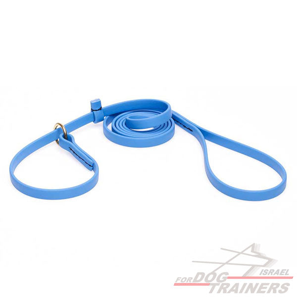 רצועת סליפ ליש לכלב לכלב בצבע כחול- עם קולר חנק מובנה - FOR DOG TRAINERS- ISRAEL