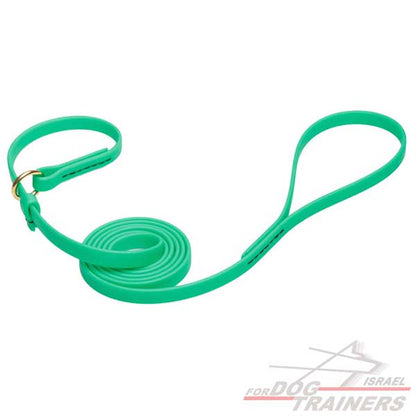 רצועת סליפ ליש לכלב בצבע ירוק עשויה מביאוטן- עם קולר חנק מובנה - FOR DOG TRAINERS- ISRAEL
