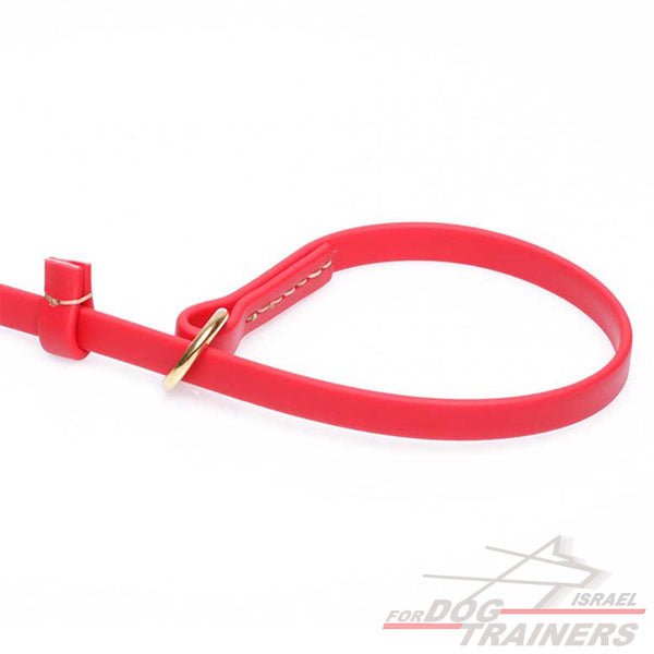 רצועת סליפ ליש לכלב עם קולר חנק-עשויה מביאוטן - FOR DOG TRAINERS- ISRAEL