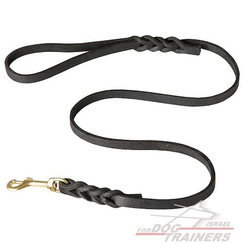 רצועת עור לכלב מקושטת להליכות ולגישושים - FOR DOG TRAINERS- ISRAEL