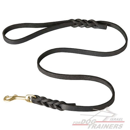 רצועת עור לכלב מקושטת להליכות ולגישושים - FOR DOG TRAINERS- ISRAEL