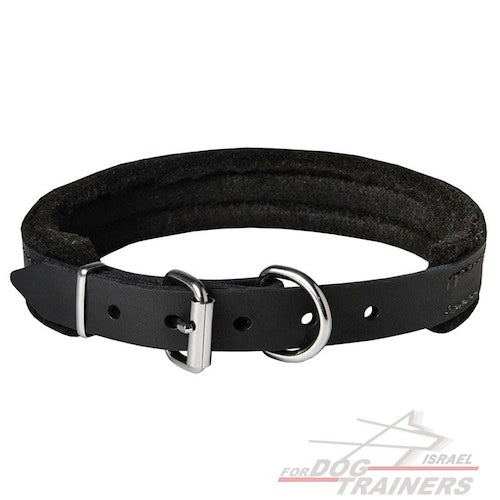 קולר לכלב מרופד מעור - ברוחב 2.5 ס"מ - FOR DOG TRAINERS- ISRAEL