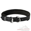 קולר לכלב מרופד מעור - ברוחב 2.5 ס"מ - FOR DOG TRAINERS- ISRAEL