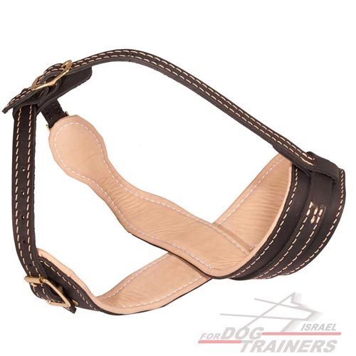 מחסום פה לכלב בסגנון מלכותי בצורת לולאה מרופד בעור נאפה - FOR DOG TRAINERS- ISRAEL