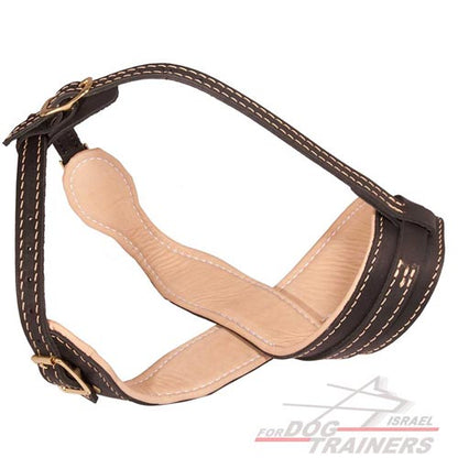 מחסום פה לכלב בסגנון מלכותי בצורת לולאה מרופד בעור נאפה - FOR DOG TRAINERS- ISRAEL
